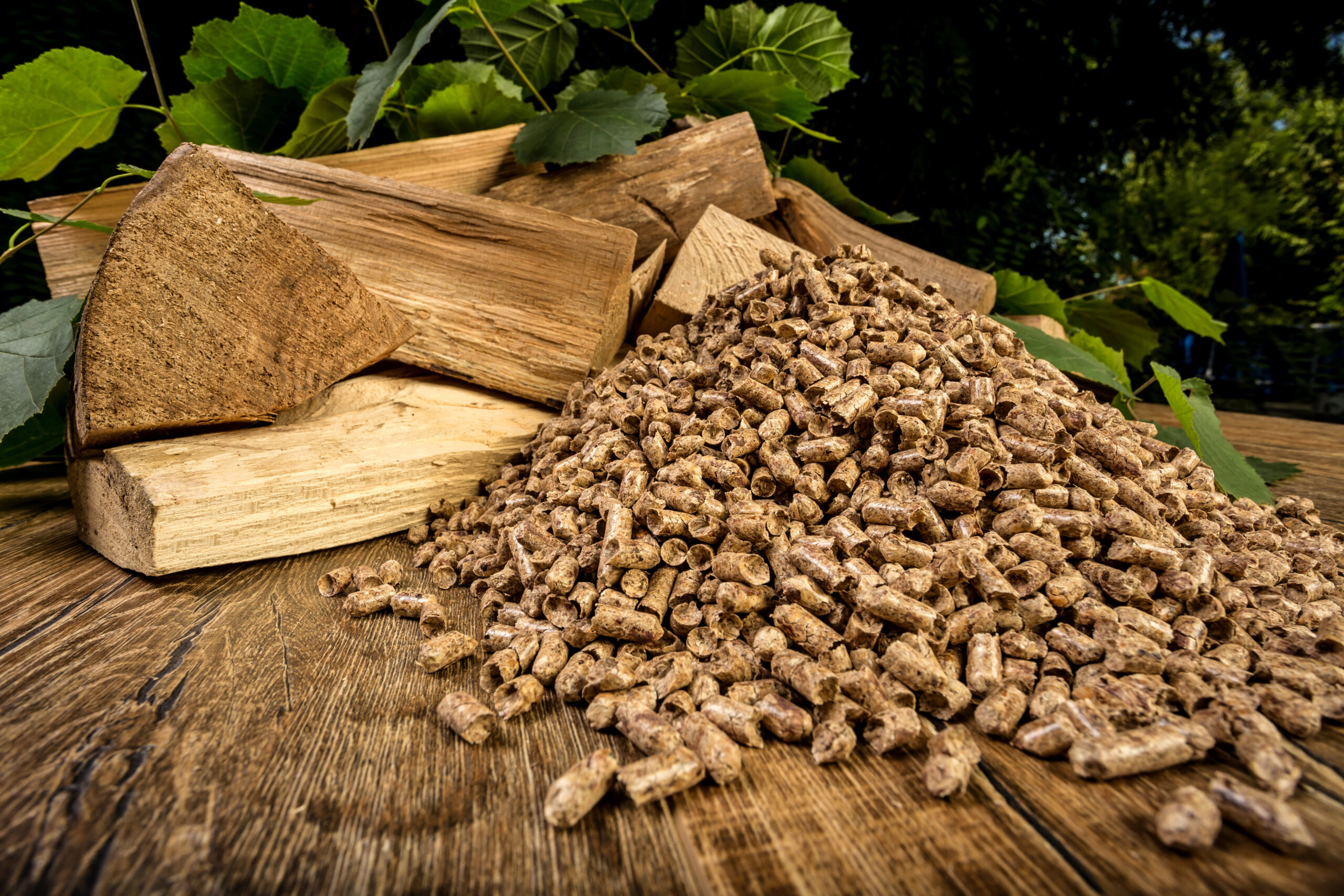 Pellet drzewny - Sprzedaż